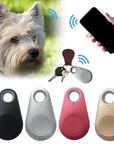 PawGuard - GPS Tracker for Pets